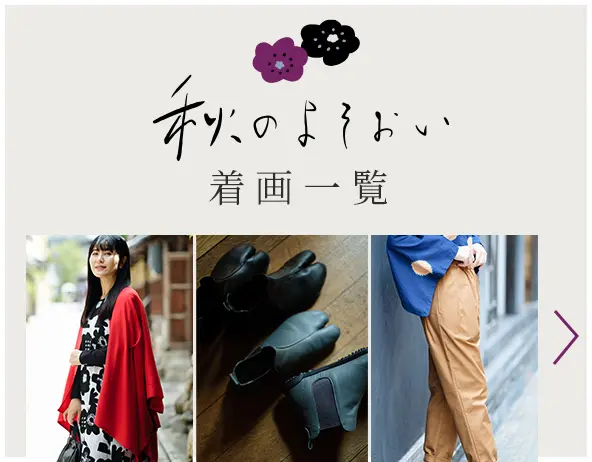 秋のよそおい 着画一覧