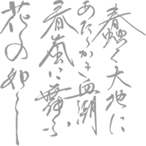 SOU・SOU 春のカブキモノ