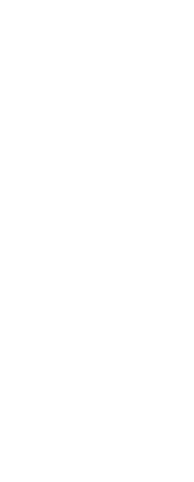 SOU・SOU 秋のカブキモノ