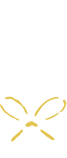 年の瀬に、心あたたまる｜ SOU・SOU 冬のスペシャルギフト