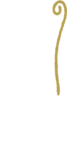 御中元 SOU・SOU