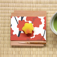 霜月 | 紅葉狩り