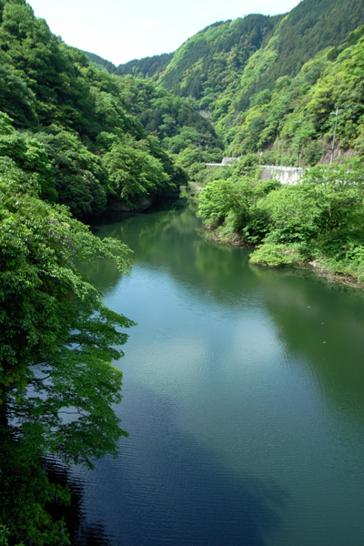 R0017381.JPG