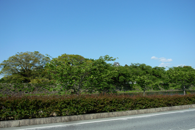 R0017426.JPG