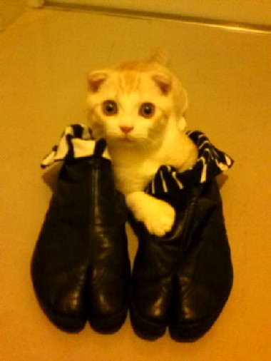 20100711085411.jpg