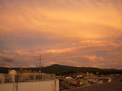 P1040147.jpg