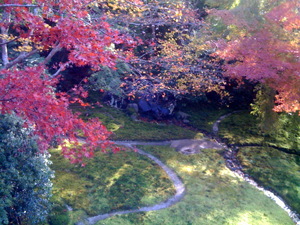 紅葉　庭.jpg