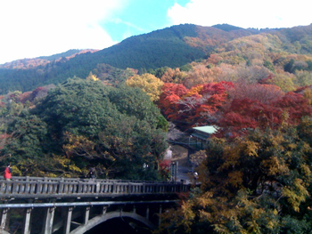 紅葉　山.jpg