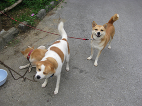 20111106-2667.jpg