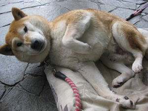 20120224-3266.jpg