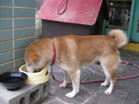 20120224-3301.jpg