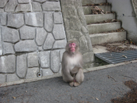 20120224-3307.jpg