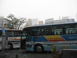 20120401-3353.jpg