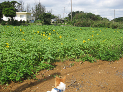 20120401-3359.jpg