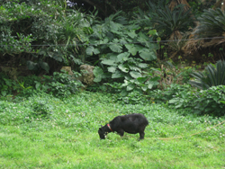 20120401-3360.jpg