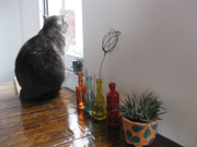 20120401-3389.jpg