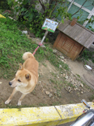 20120401-3409.jpg