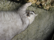 20120401-3440.jpg