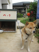 20120401-3456.jpg