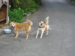 20120401-3515.jpg