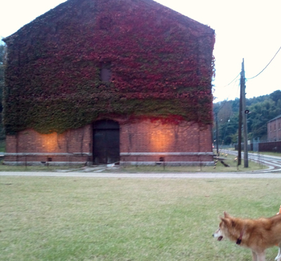 20131128-DSC_1074.jpg
