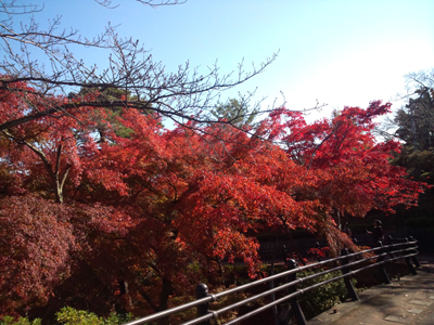 20131129-DSC_0263.jpg