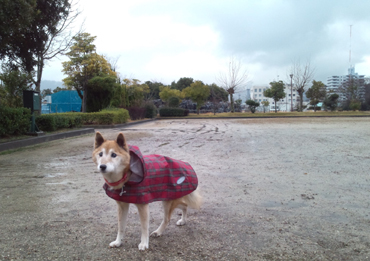 20140109-1140.jpg