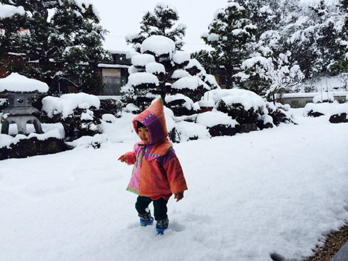 20140221-m.jpg