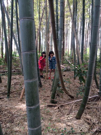 20140519-ff.jpg