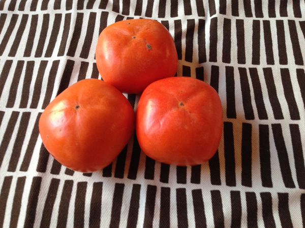 20141029-ishida2.jpg
