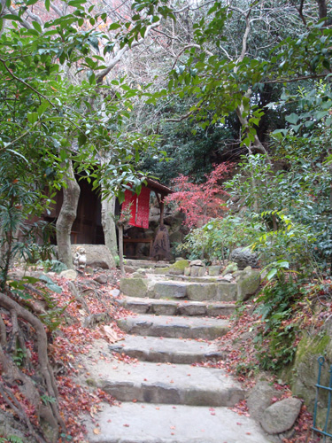 20101216-DSC03835.jpg