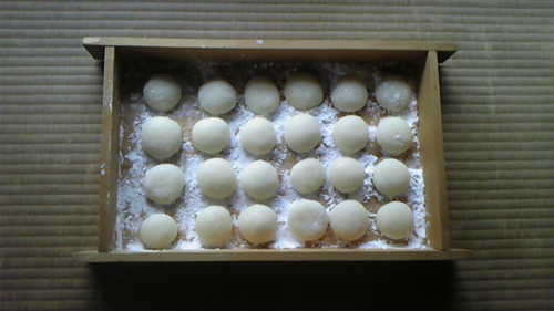 20110106-101230_103355.jpg
