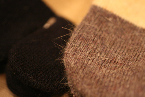 20110114-IMG_3045.jpg