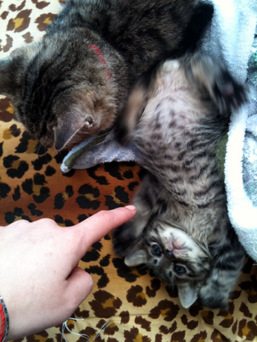 20110117-写真.JPG