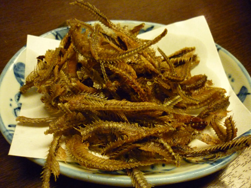 20110128-P1060341.jpg