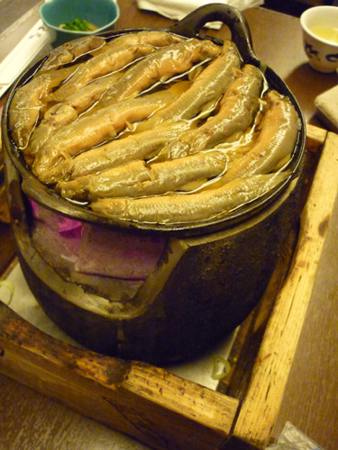 20110128-P1060342.jpg