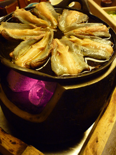 20110128-P1060343.jpg