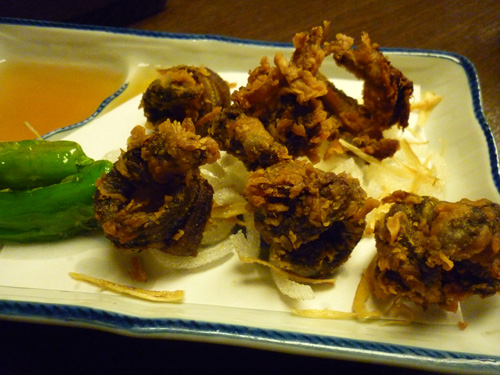 20110128-P1060346.jpg