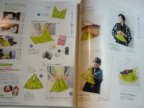 20110224-maga01.jpg