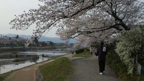 20110412-2011041017100001.jpg