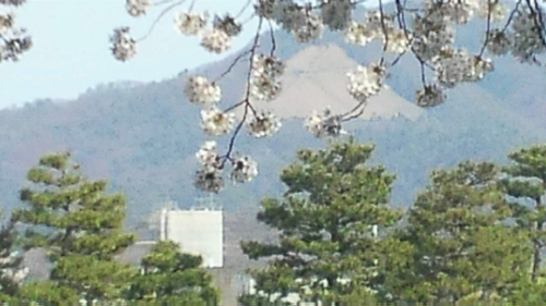 20110412-2011041018030000.jpg