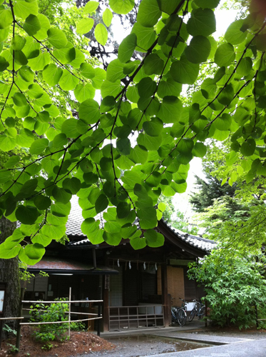 20110522-02.JPG