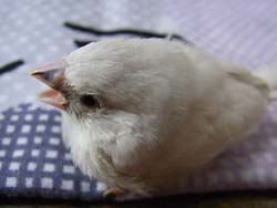 20110702-zinan2.jpg