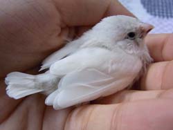 20110702-zinan3.jpg