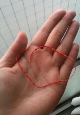 20110811-ito.JPG