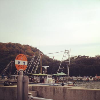 20111130-hinase.JPG