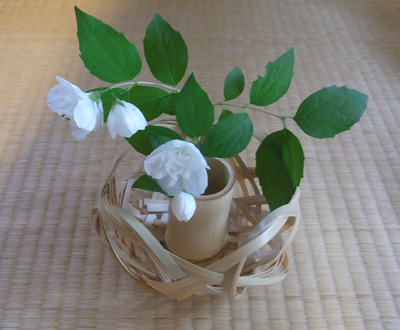 20120529-hana.jpg