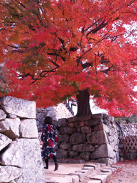 20121204-4.jpg