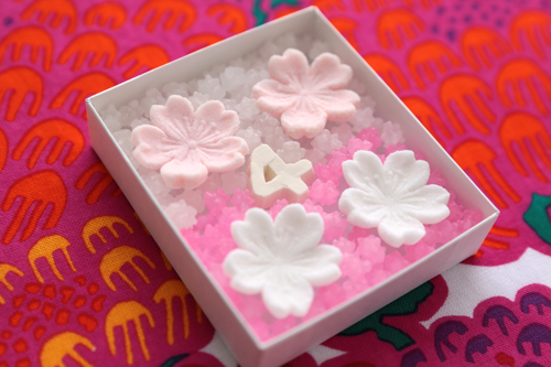 20130327-20130327wasanbon.jpg