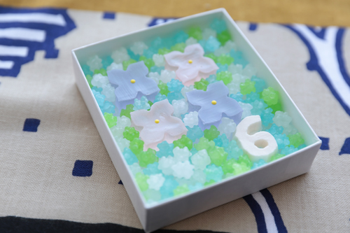20130524-20130525wasanbon.jpg